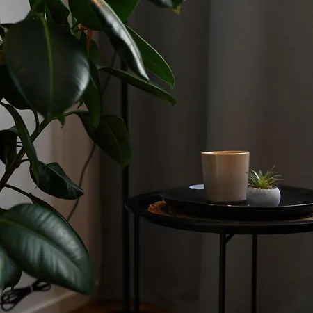 Center - Comfy & Modern شقة براتسيلافا