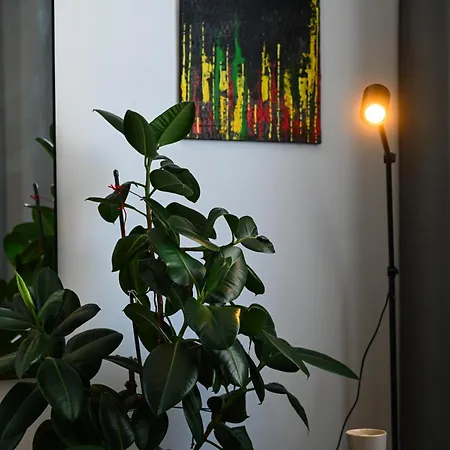 Center - Comfy & Modern براتسيلافا